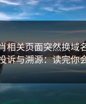 十二生肖相关页面突然换域名？这往往是躲投诉与溯源：读完你会更清醒
