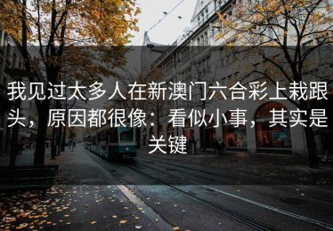 我见过太多人在新澳门六合彩上栽跟头，原因都很像：看似小事，其实是关键