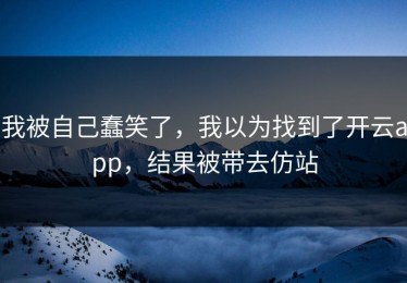 我被自己蠢笑了，我以为找到了开云app，结果被带去仿站