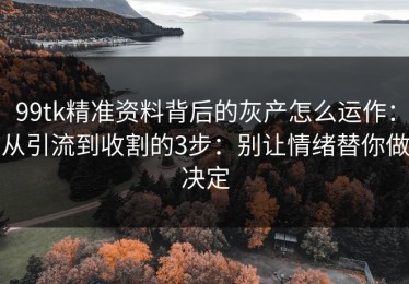 99tk精准资料背后的灰产怎么运作：从引流到收割的3步：别让情绪替你做决定