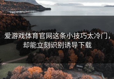 爱游戏体育官网这条小技巧太冷门，却能立刻识别诱导下载