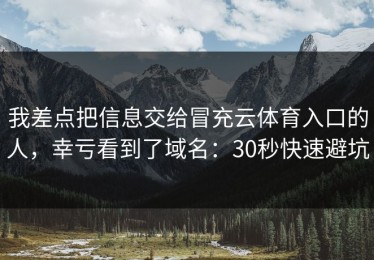 我差点把信息交给冒充云体育入口的人，幸亏看到了域名：30秒快速避坑