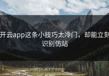 开云app这条小技巧太冷门，却能立刻识别仿站
