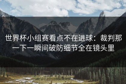 世界杯小组赛看点不在进球：裁判那一下一瞬间破防细节全在镜头里