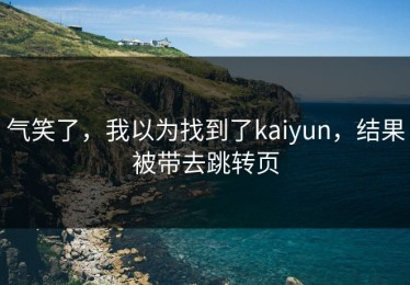 气笑了，我以为找到了kaiyun，结果被带去跳转页
