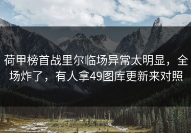荷甲榜首战里尔临场异常太明显，全场炸了，有人拿49图库更新来对照