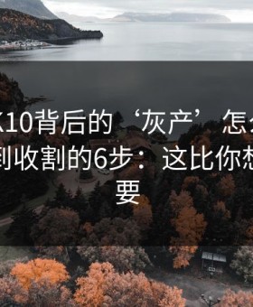 澳门PK10背后的‘灰产’怎么运作：从引流到收割的6步：这比你想的更重要
