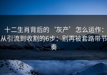 十二生肖背后的‘灰产’怎么运作：从引流到收割的6步：别再被套路带节奏
