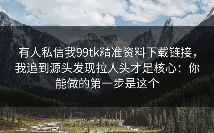 有人私信我99tk精准资料下载链接，我追到源头发现拉人头才是核心：你能做的第一步是这个