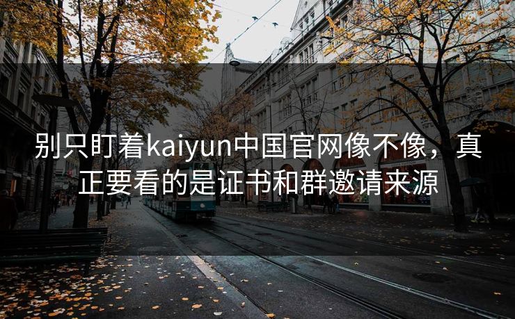 别只盯着kaiyun中国官网像不像，真正要看的是证书和群邀请来源