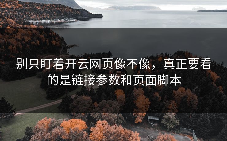 别只盯着开云网页像不像，真正要看的是链接参数和页面脚本