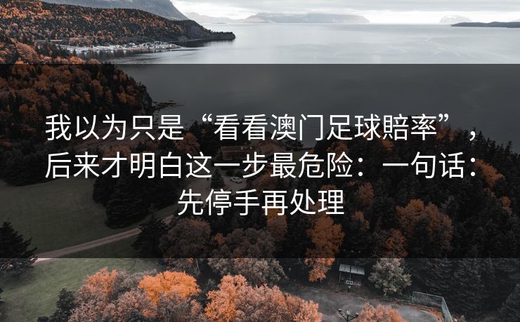 我以为只是“看看澳门足球賠率”，后来才明白这一步最危险：一句话：先停手再处理